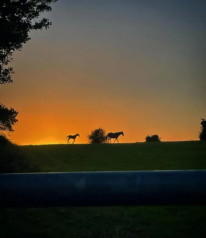 Afterglow — fine art photographic print by Hollz Photography