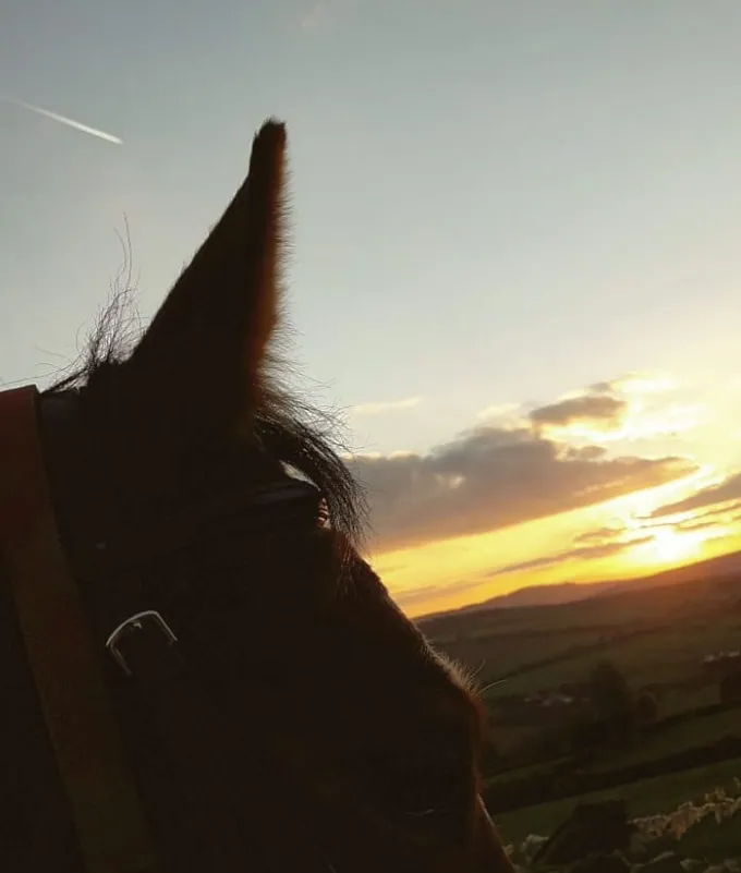 Watching the Sun Go Down — fine art photographic print by Hollz Photography