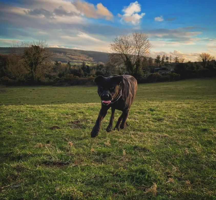 Coming Home — fine art photographic print by Hollz Photography