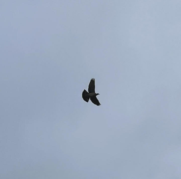 Above