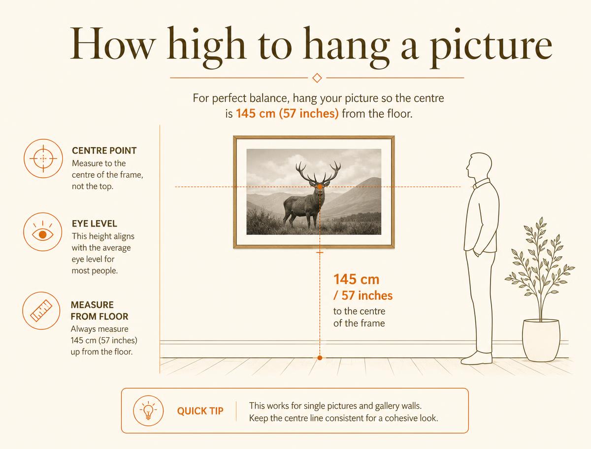 Infographic showing a framed animal photograph hung so its centre sits 145 cm (57 inches) above the floor, level with an adult's eye line