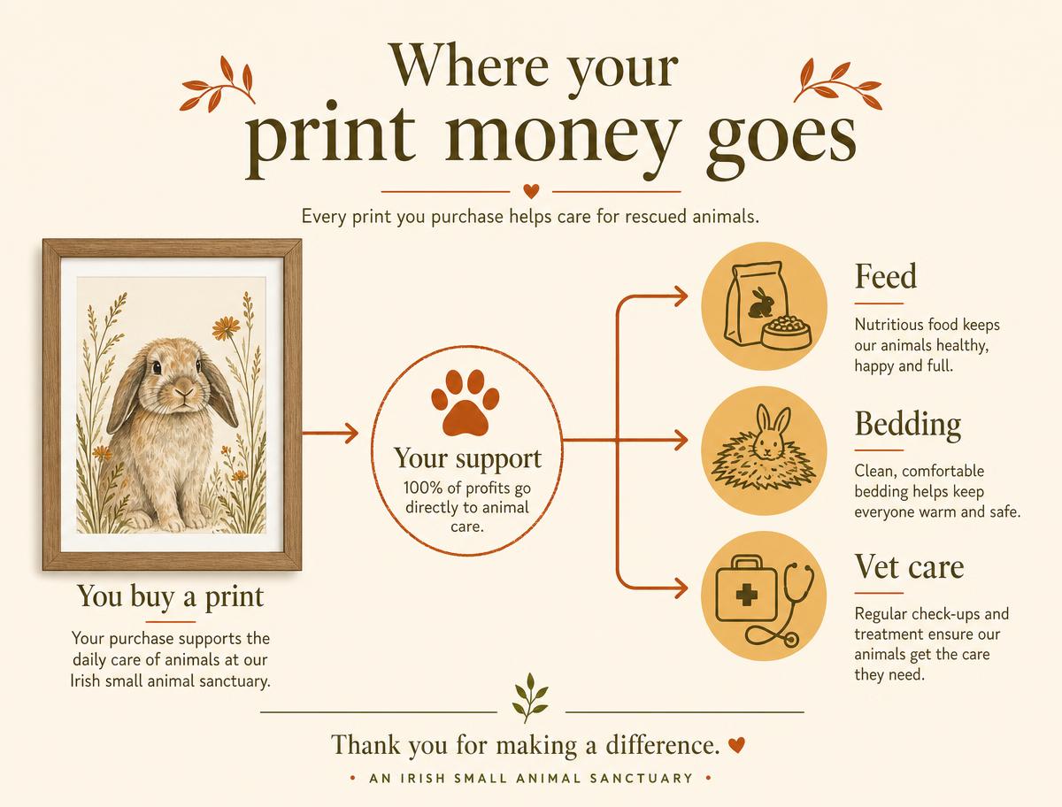 Infographic showing how money from print sales goes towards feed, bedding and vet care at an Irish small animal sanctuary